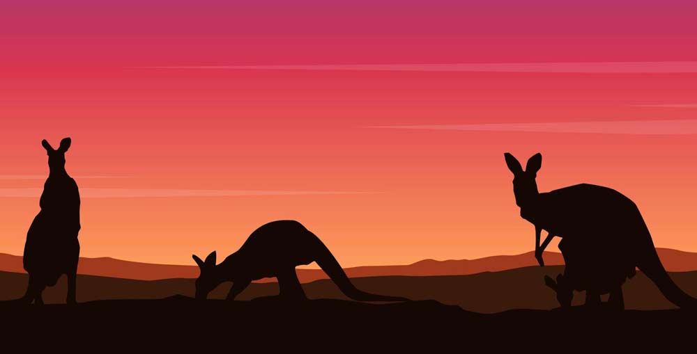 MIGRATING TO AUSTRALIA